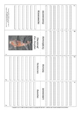 Faltbuch-Koi-Karpfen.pdf